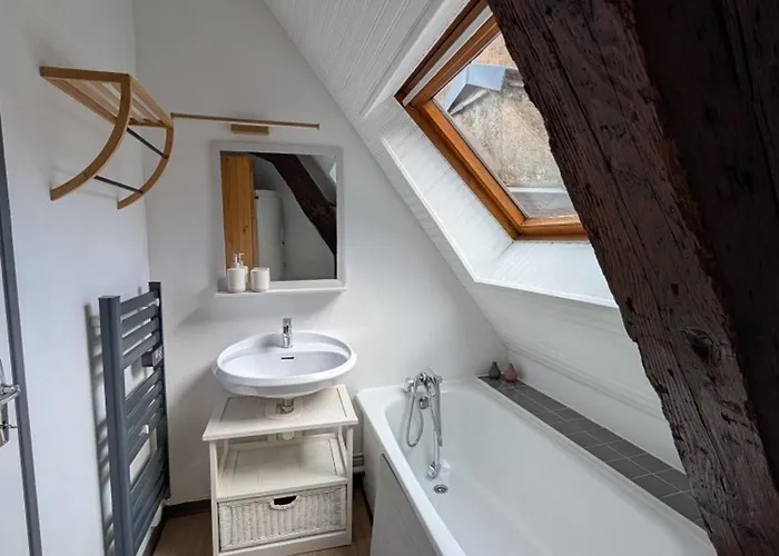 Appartement Cosy Au Coeur De Pour 4 Pers. - Fr-1-812-155 Cauterets